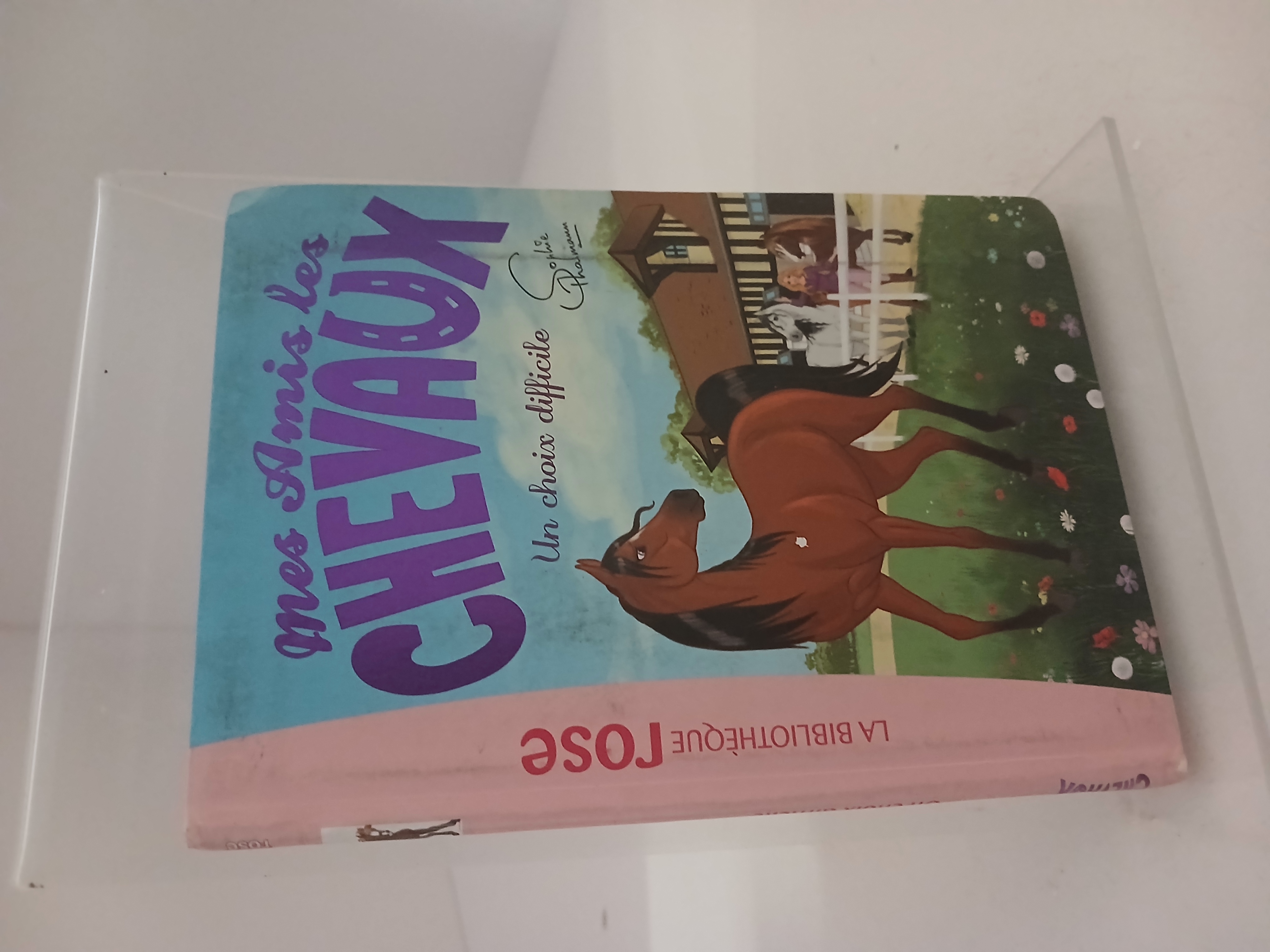 Portada de Un choix difficile