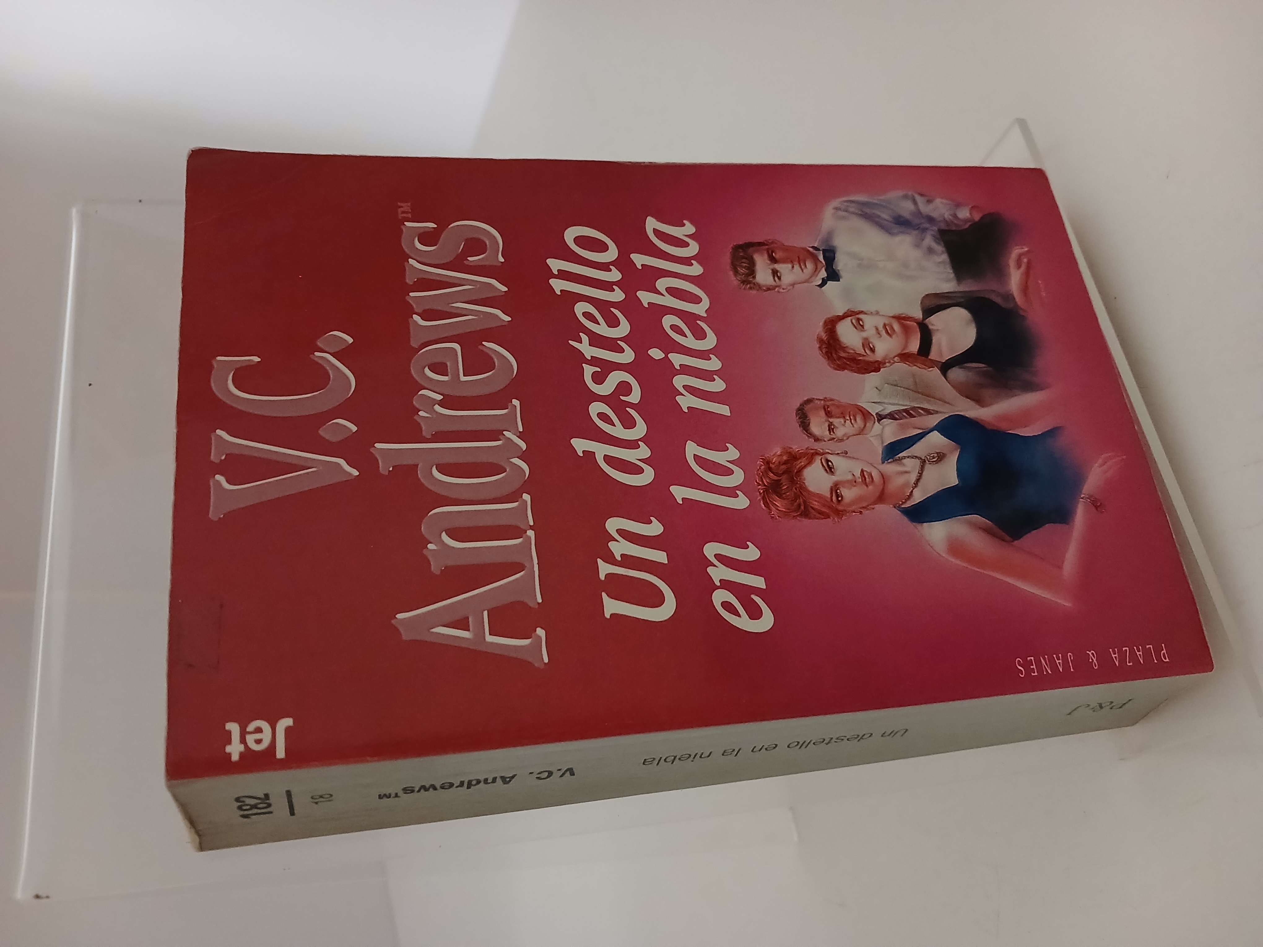 Portada de Un destello en la niebla