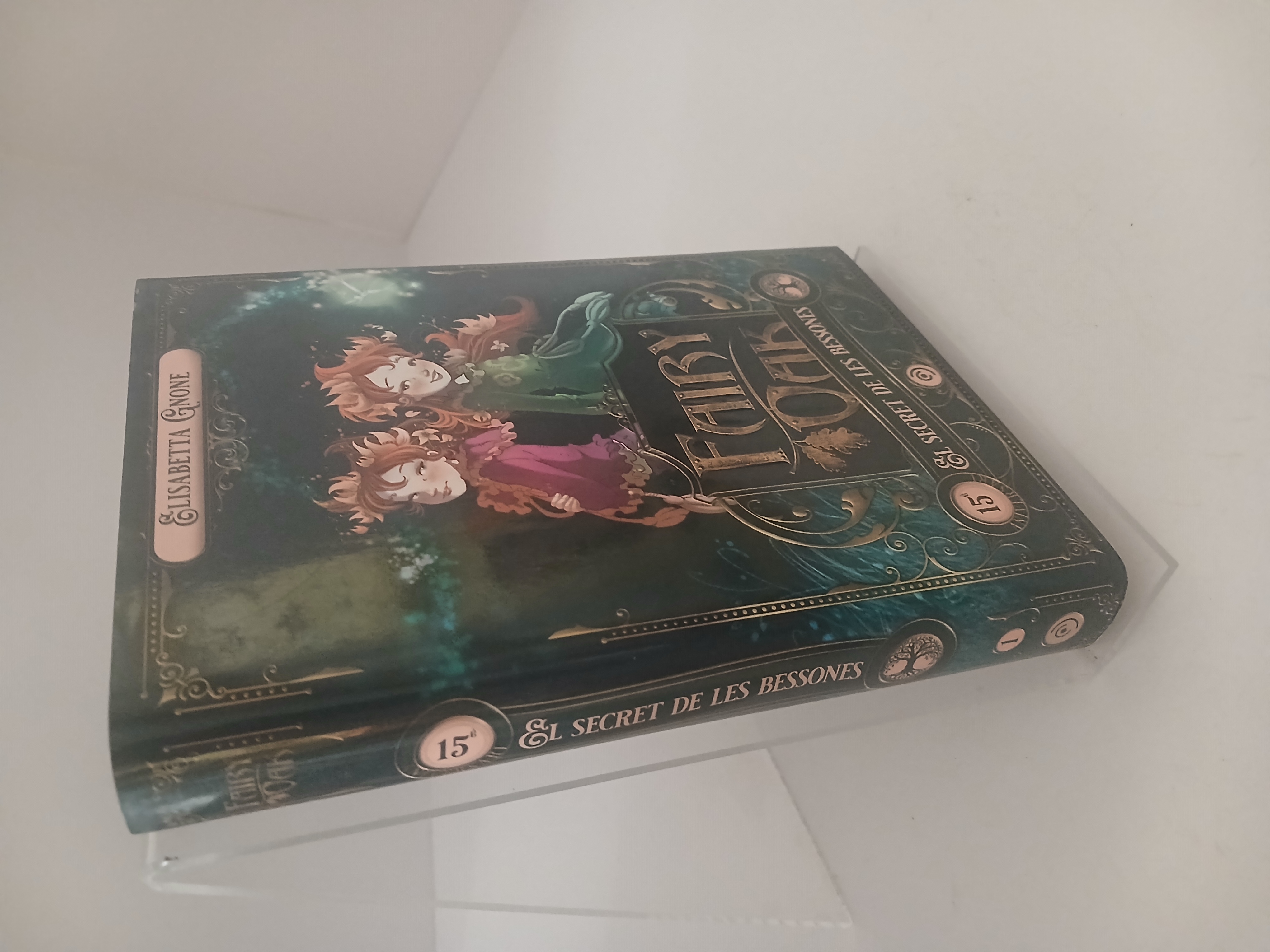 Portada de Fairy Oak : la història perduda