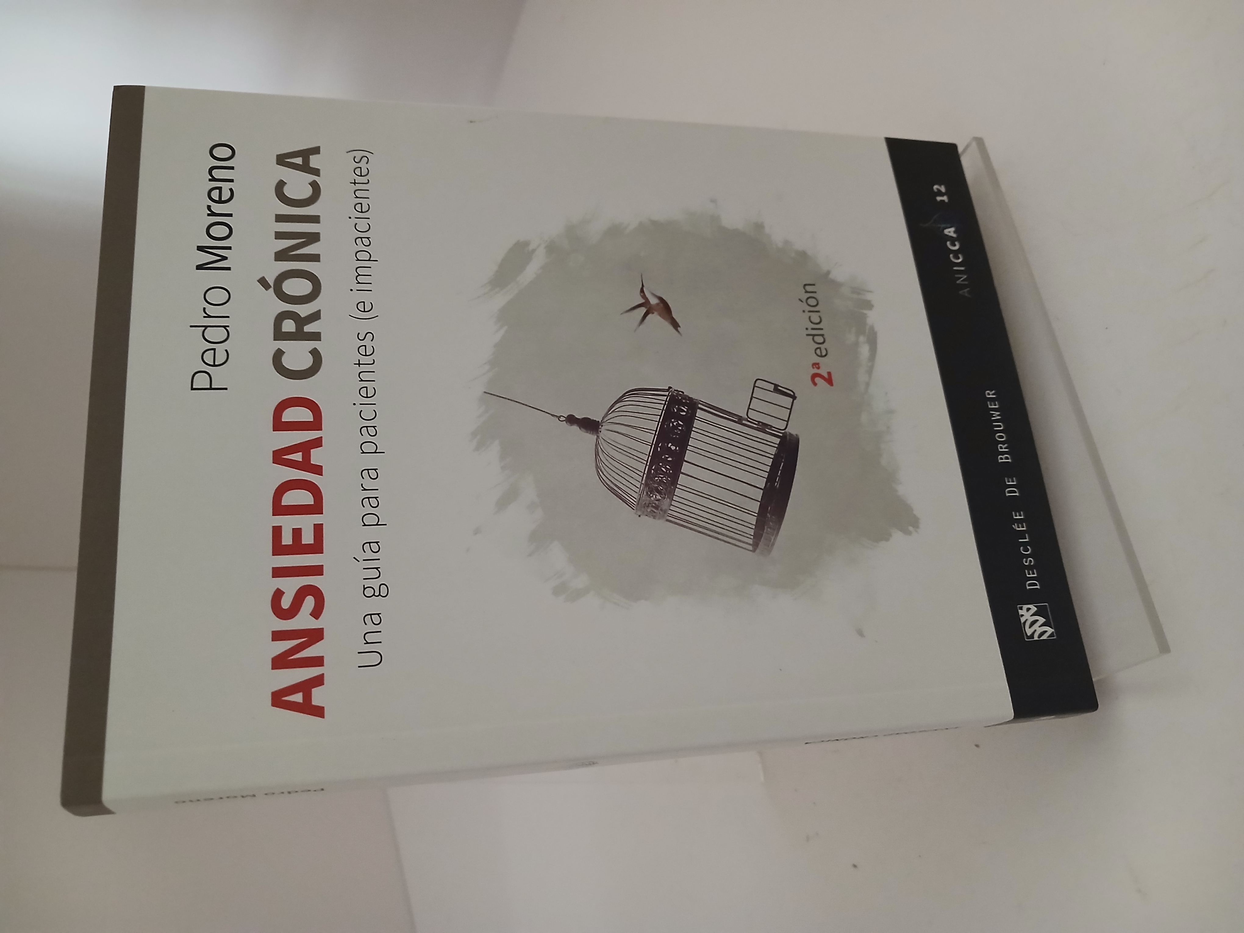 Portada de Ansiedad crónica: una guía para pacientes (e impacientes)