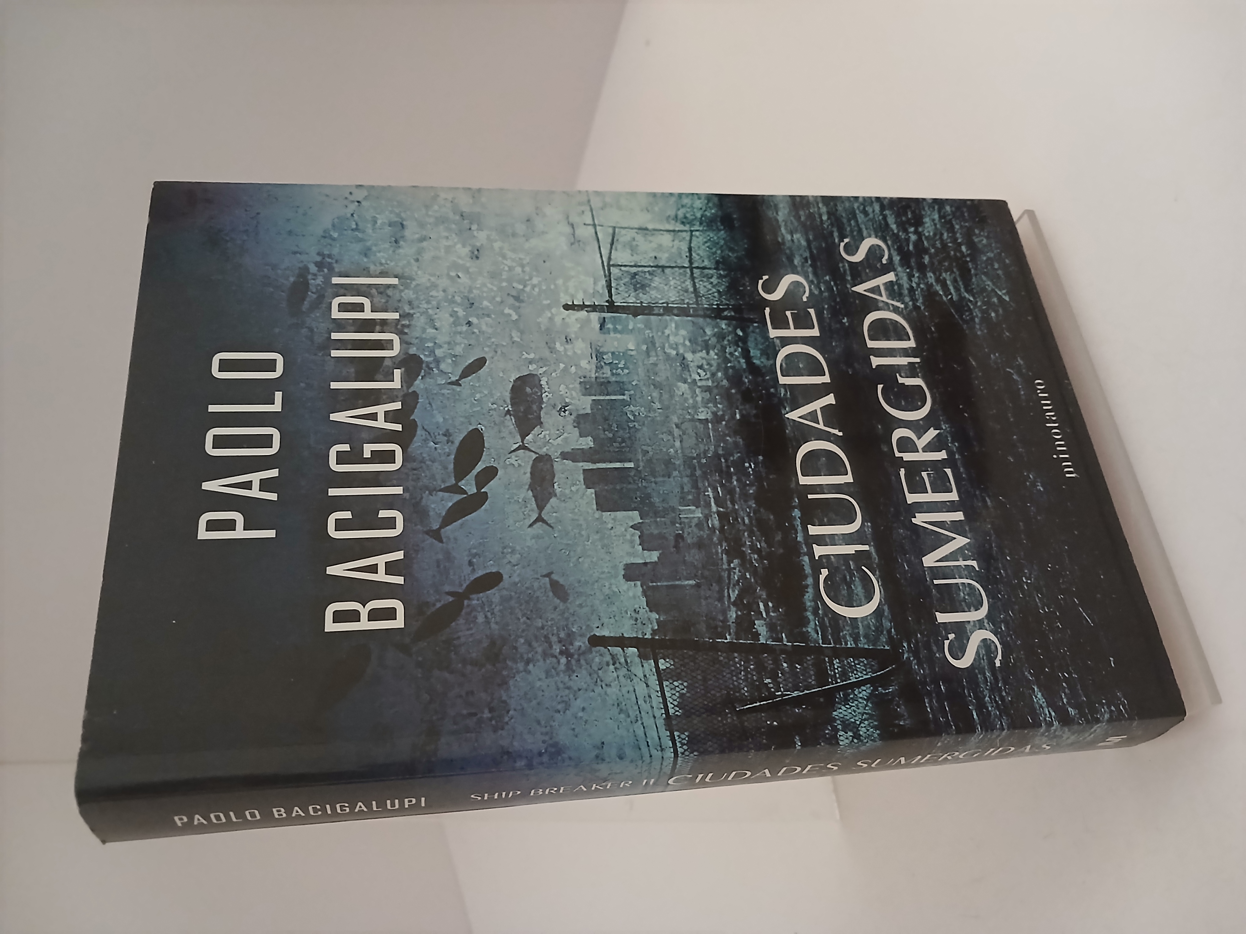 Portada de Ciudades sumergidas