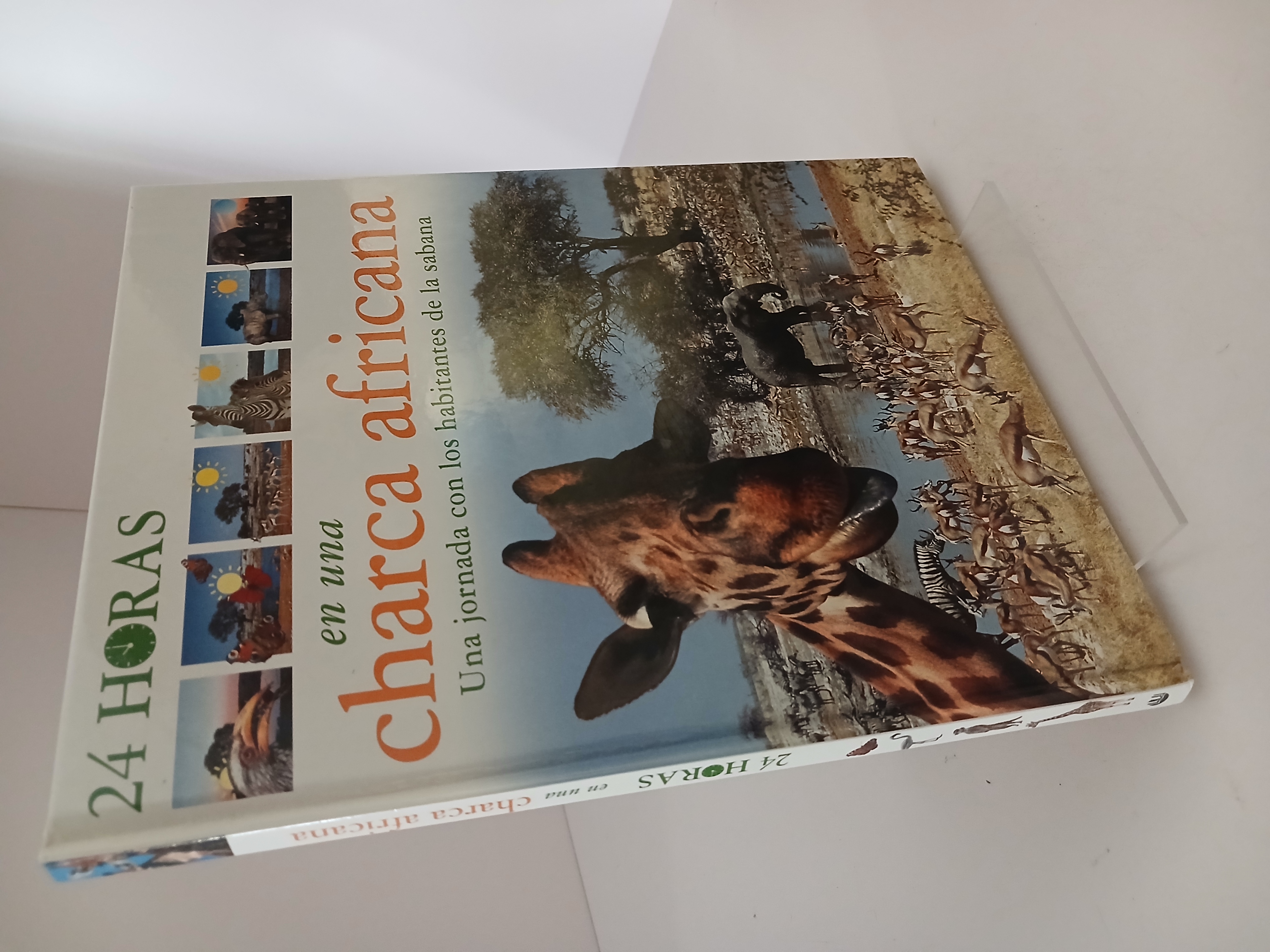 Portada de Veinticuatro horas en una charca africana