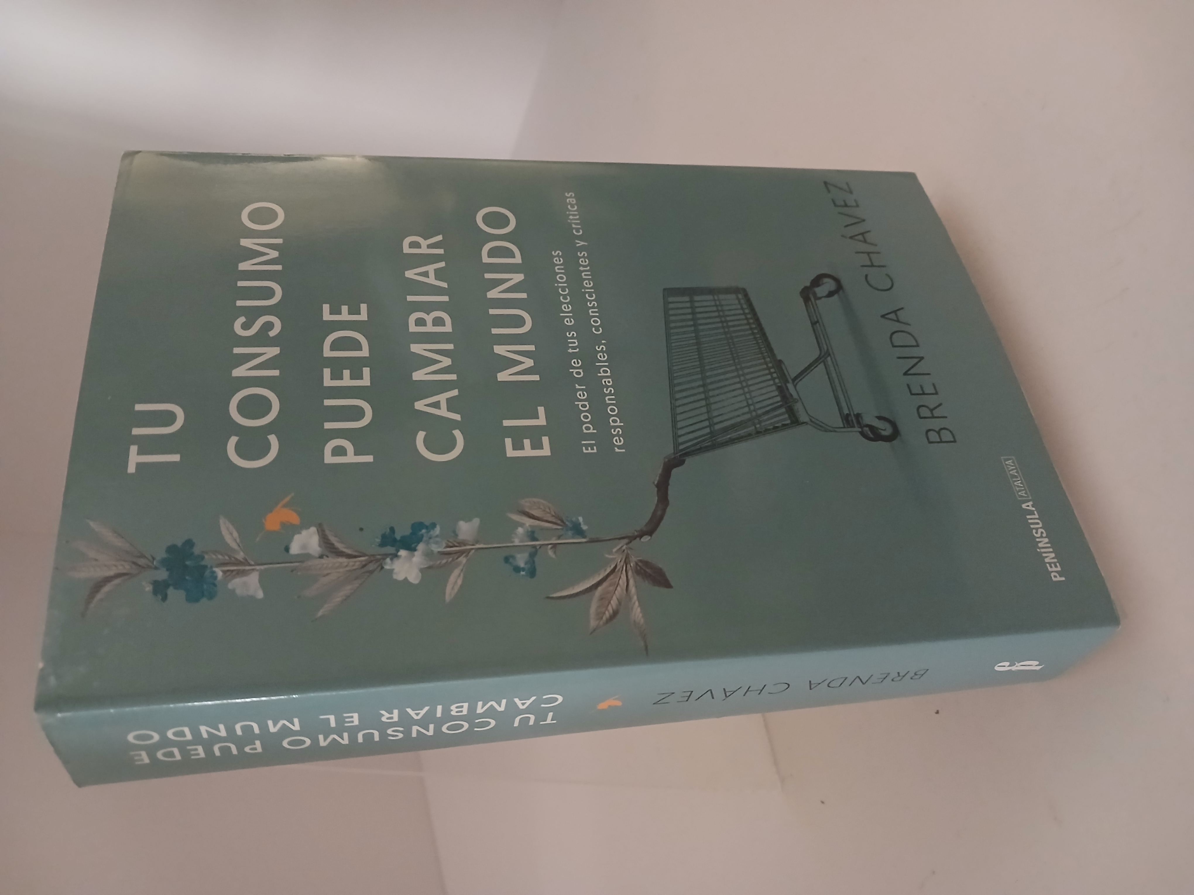 Tu consumo puede cambiar el mundo: el poder de tus elecciones responsables, conscientes y críticas