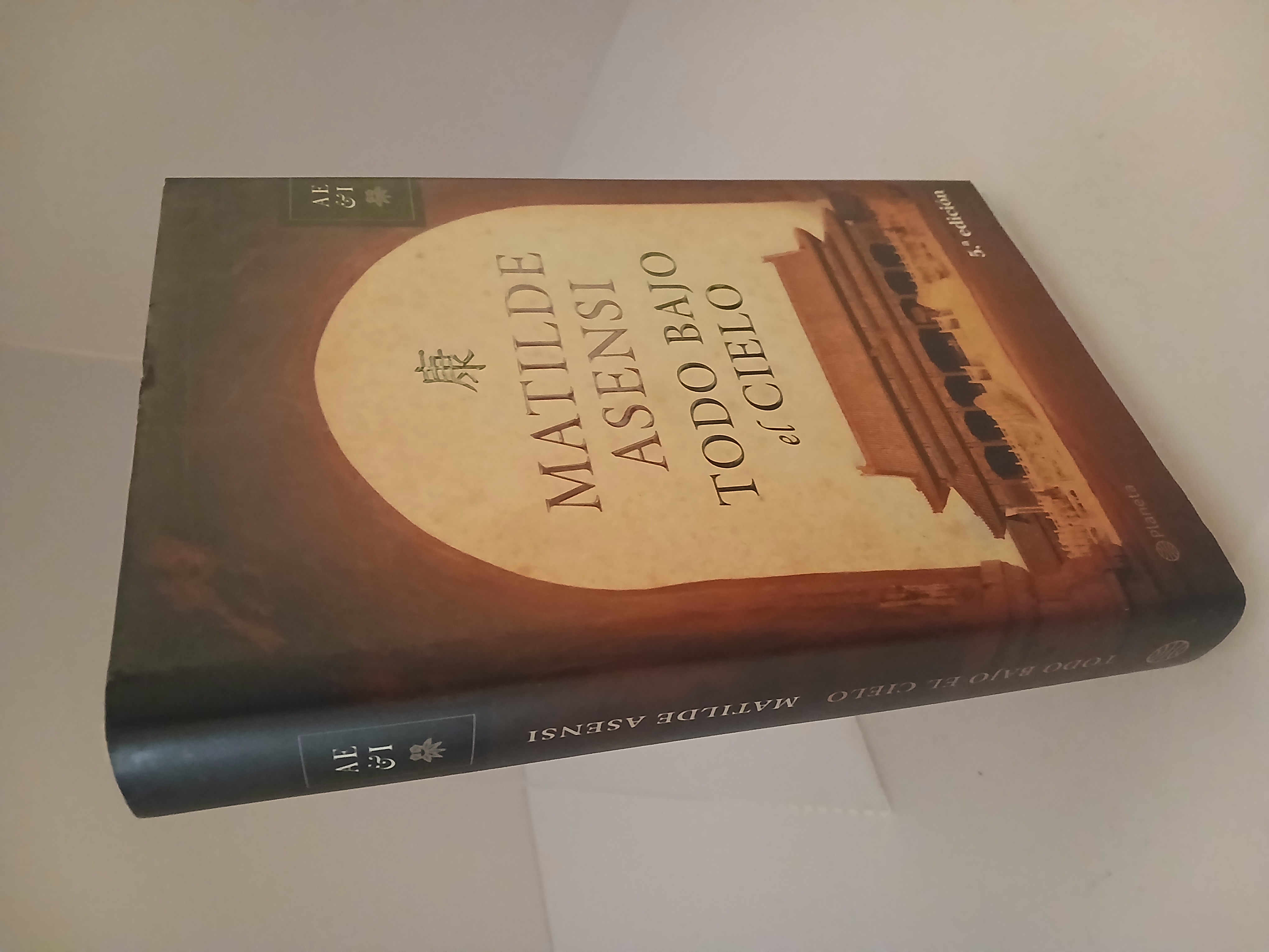 Portada de Todo bajo el Cielo: Una gran aventura (Spanish Edition)