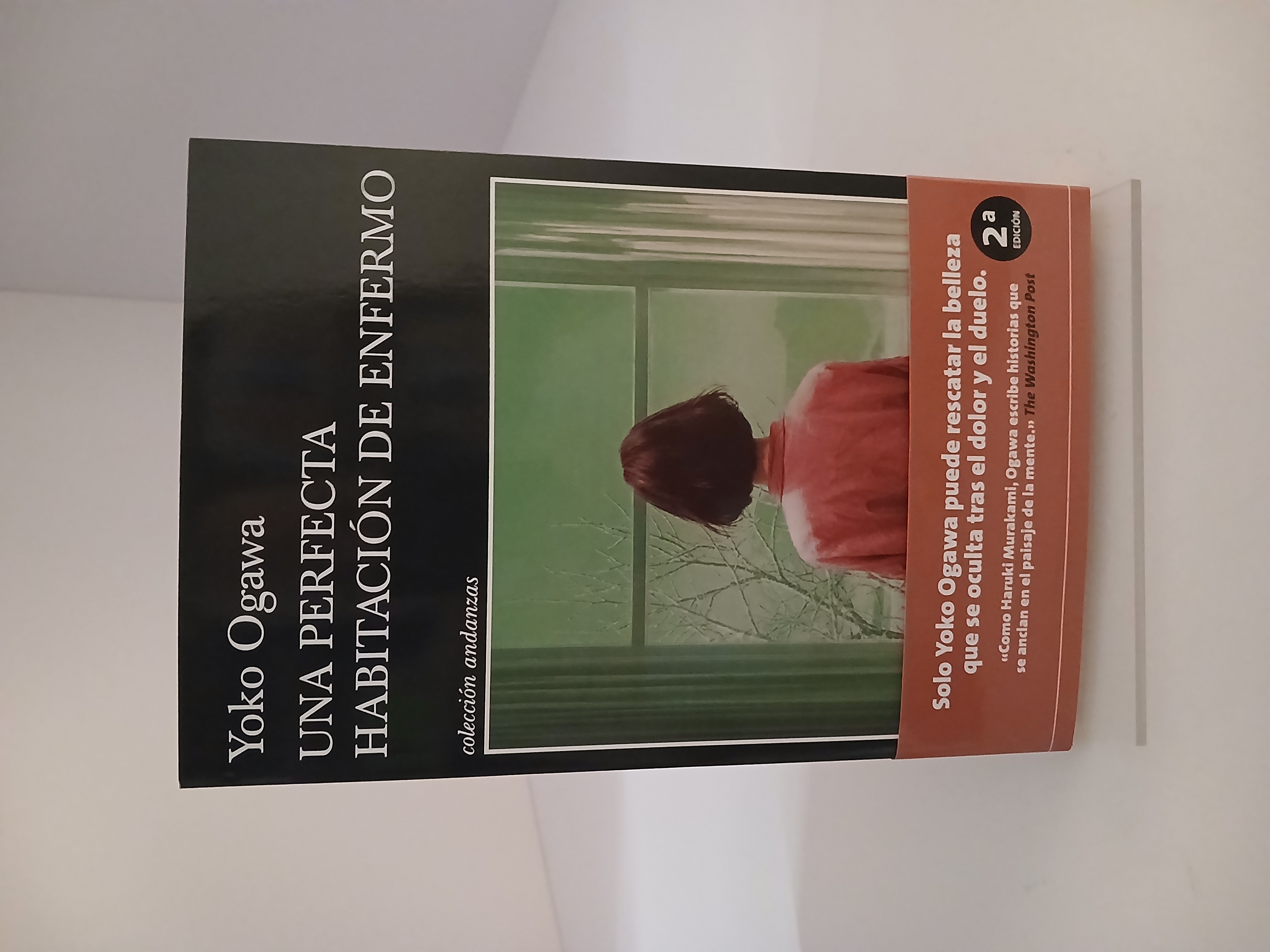 Una perfecta habitación de enfermo