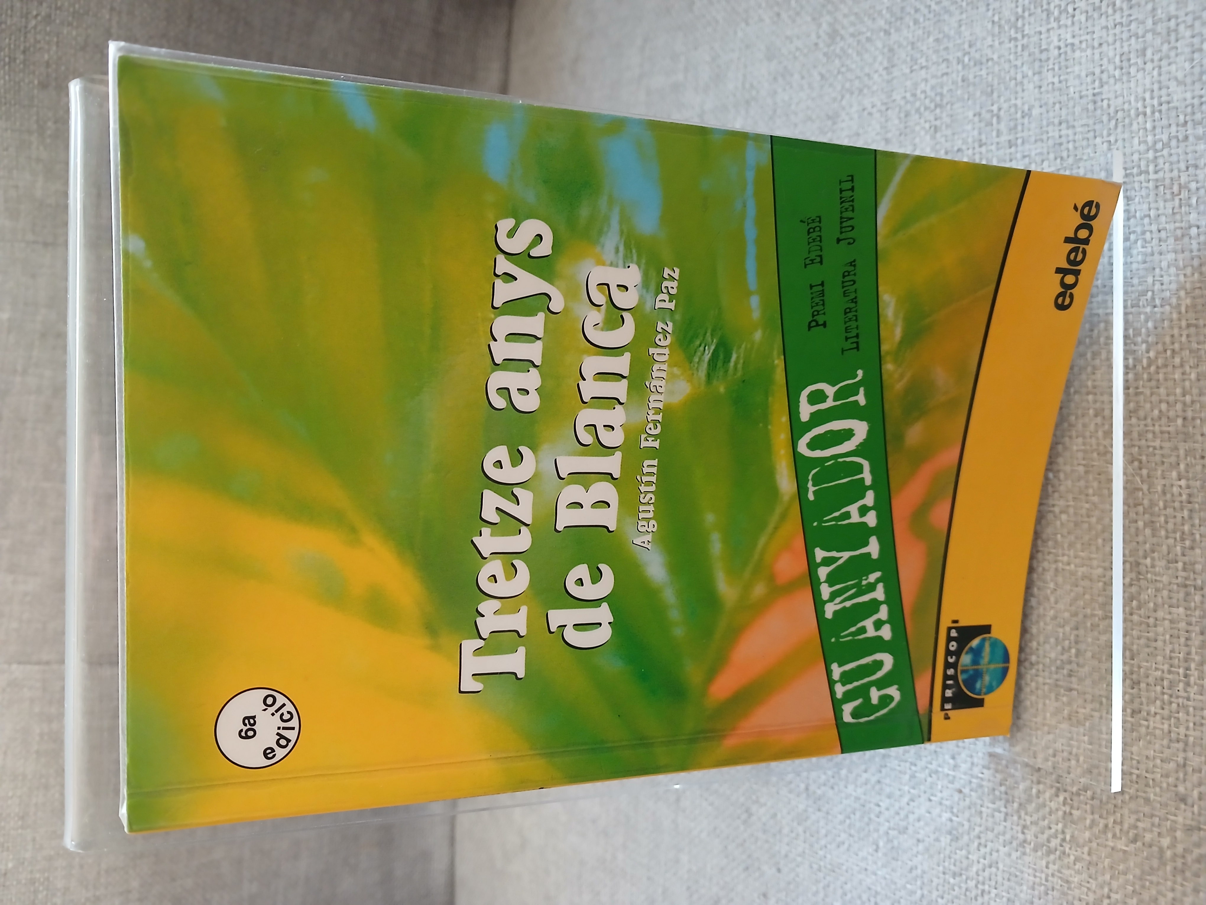 Portada de Tretze anys de Blanca