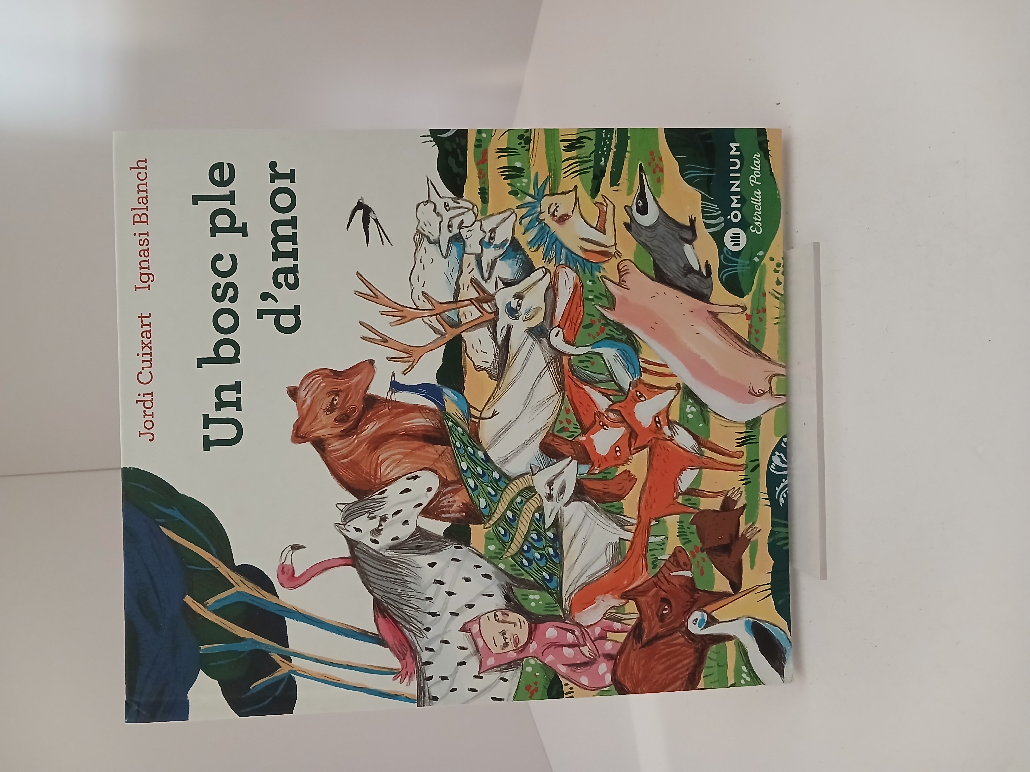 Portada de Un bosc ple d'amor