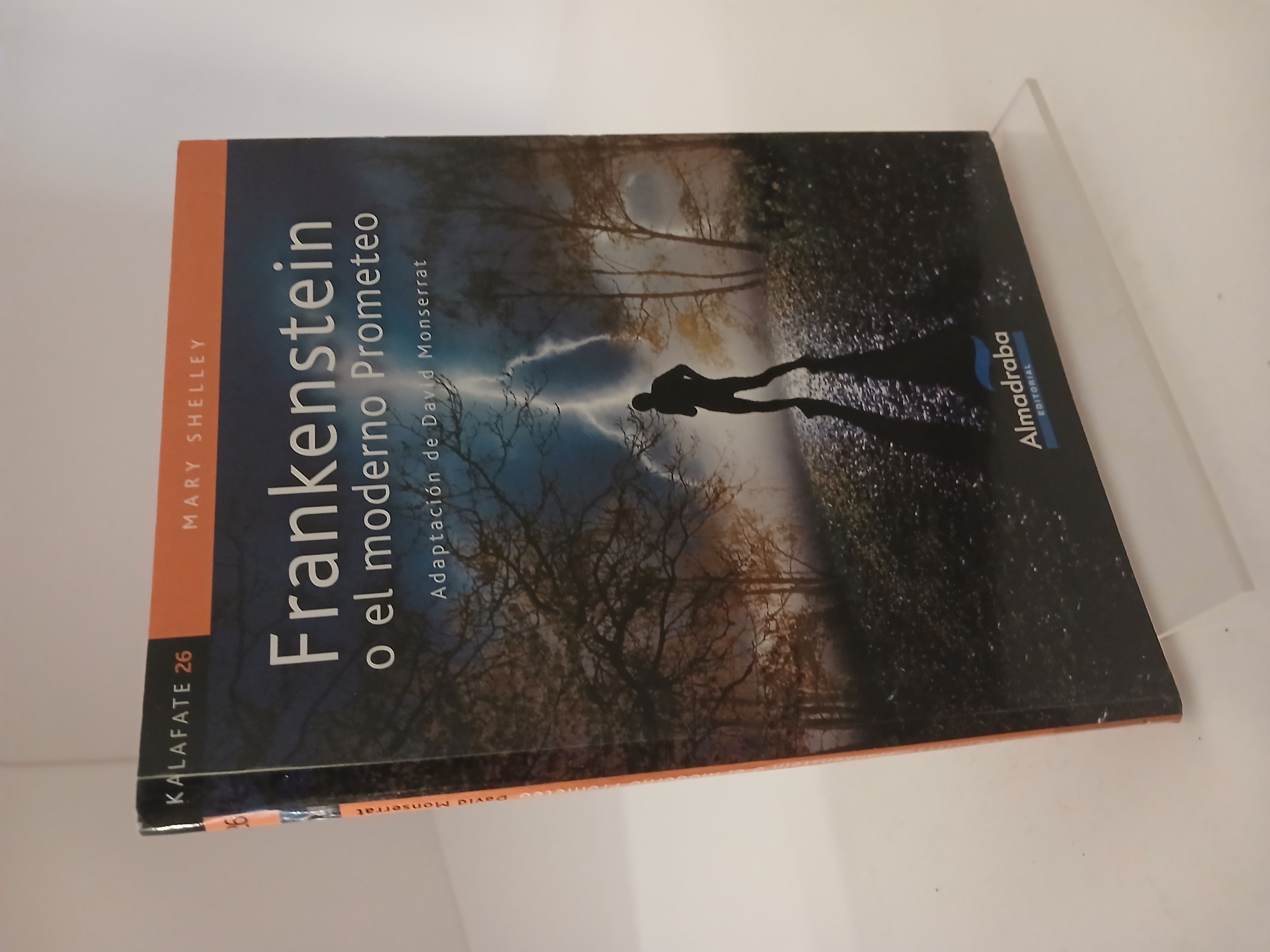 Frankenstein o El moderno Prometeo