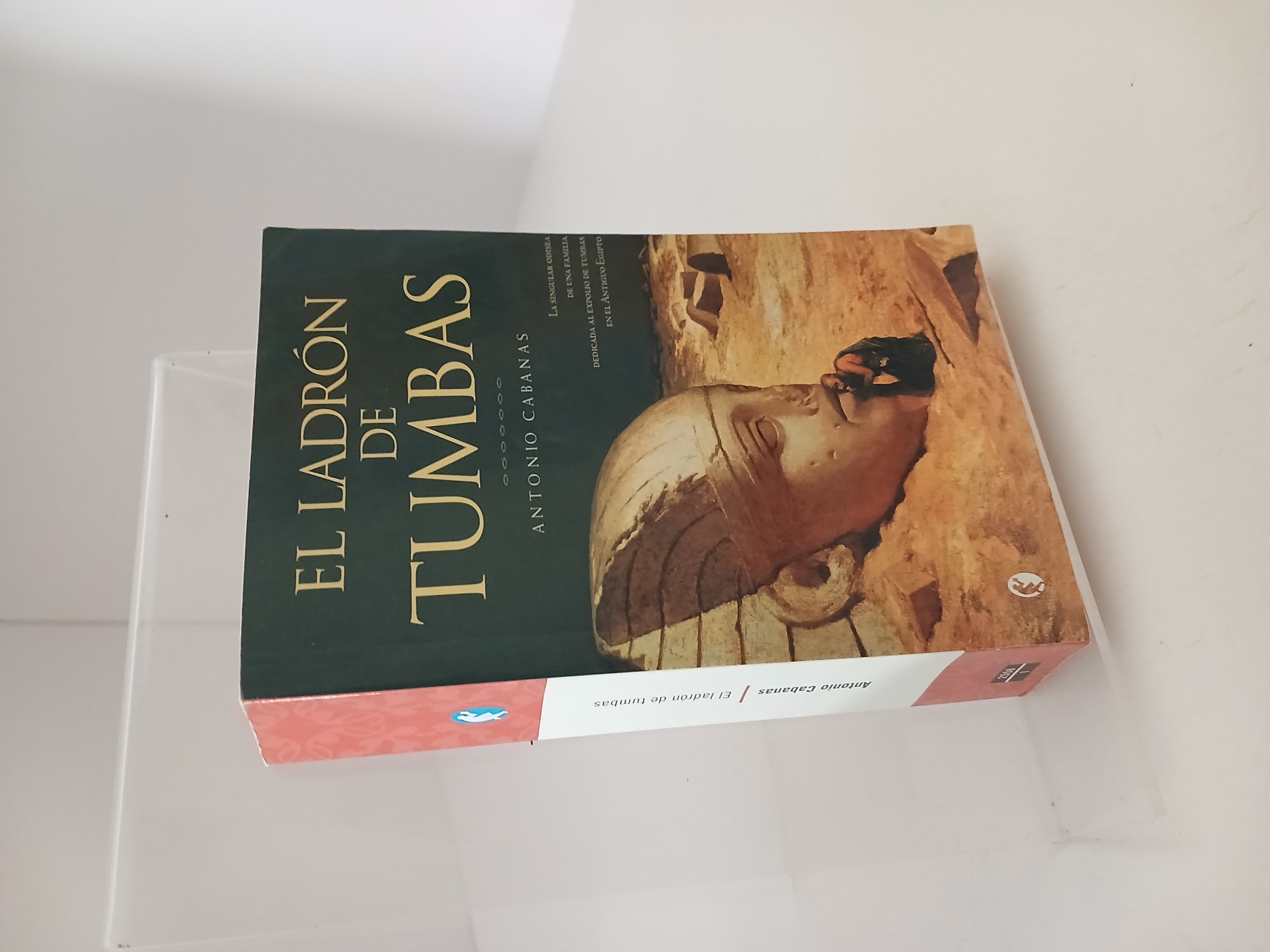 Portada de El Ladrón de tumbas