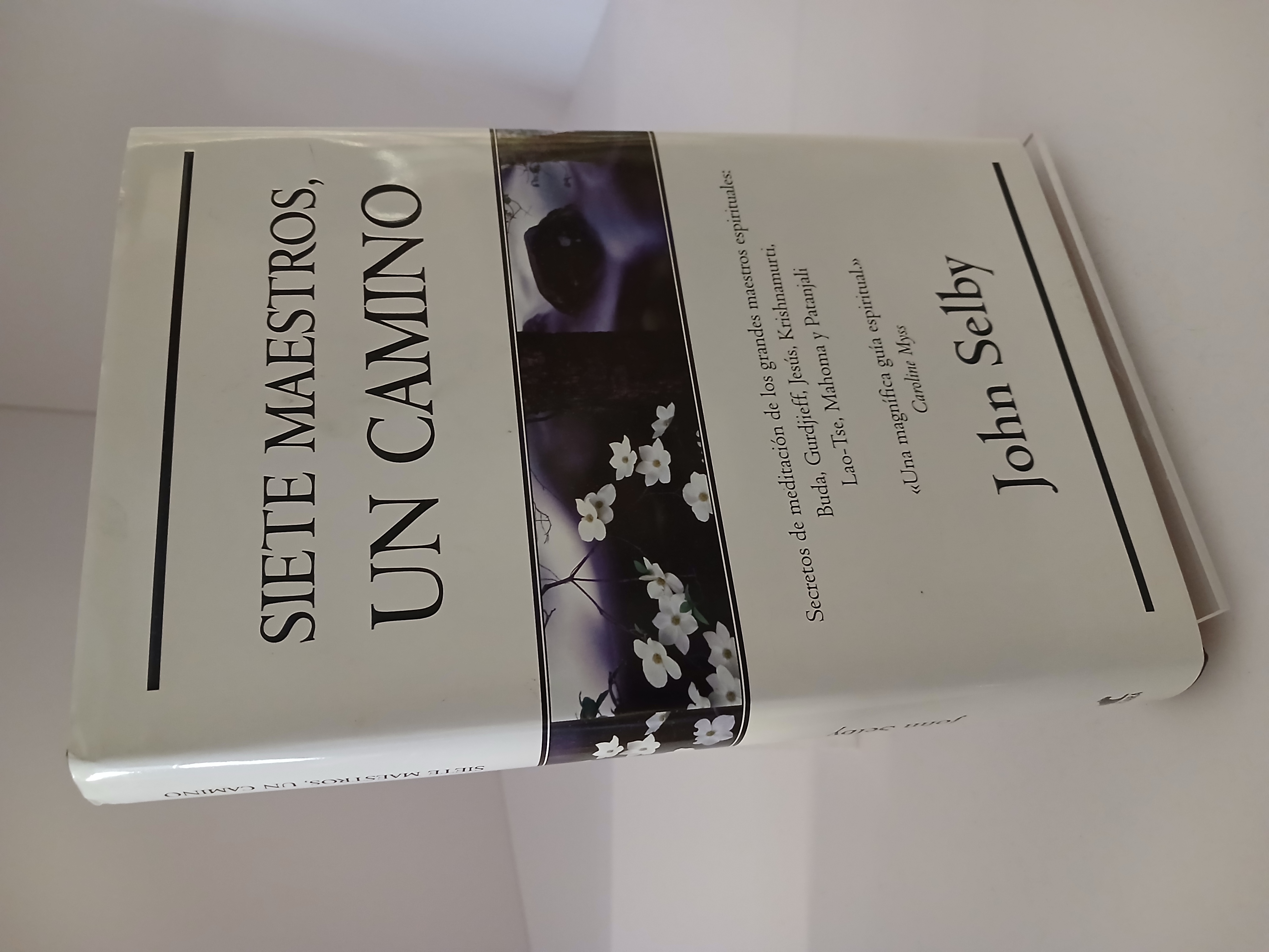 Siete Maestros, Un Camino