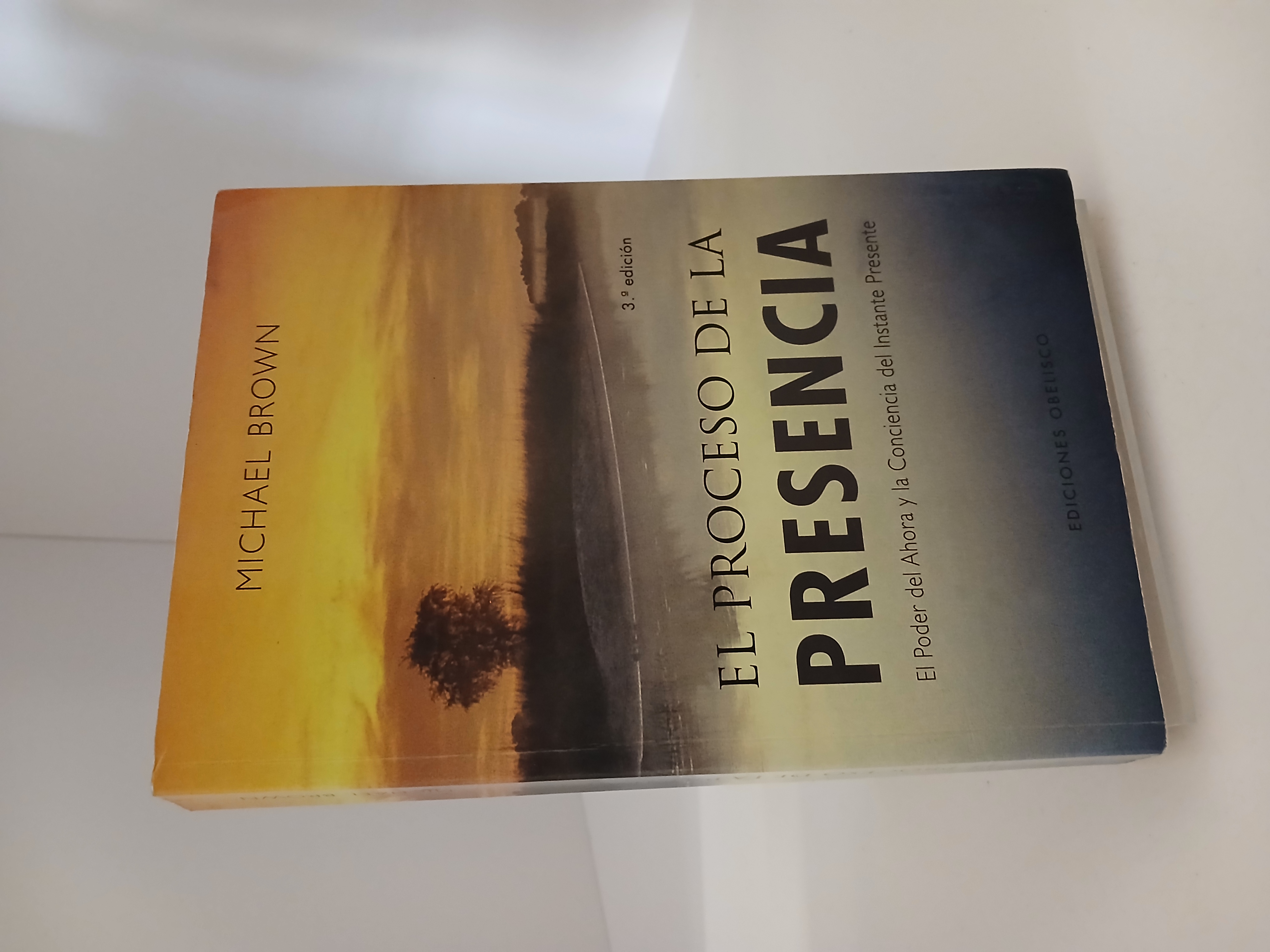 El proceso de la presencia El poder del ahora y la conciencia del instante presente
