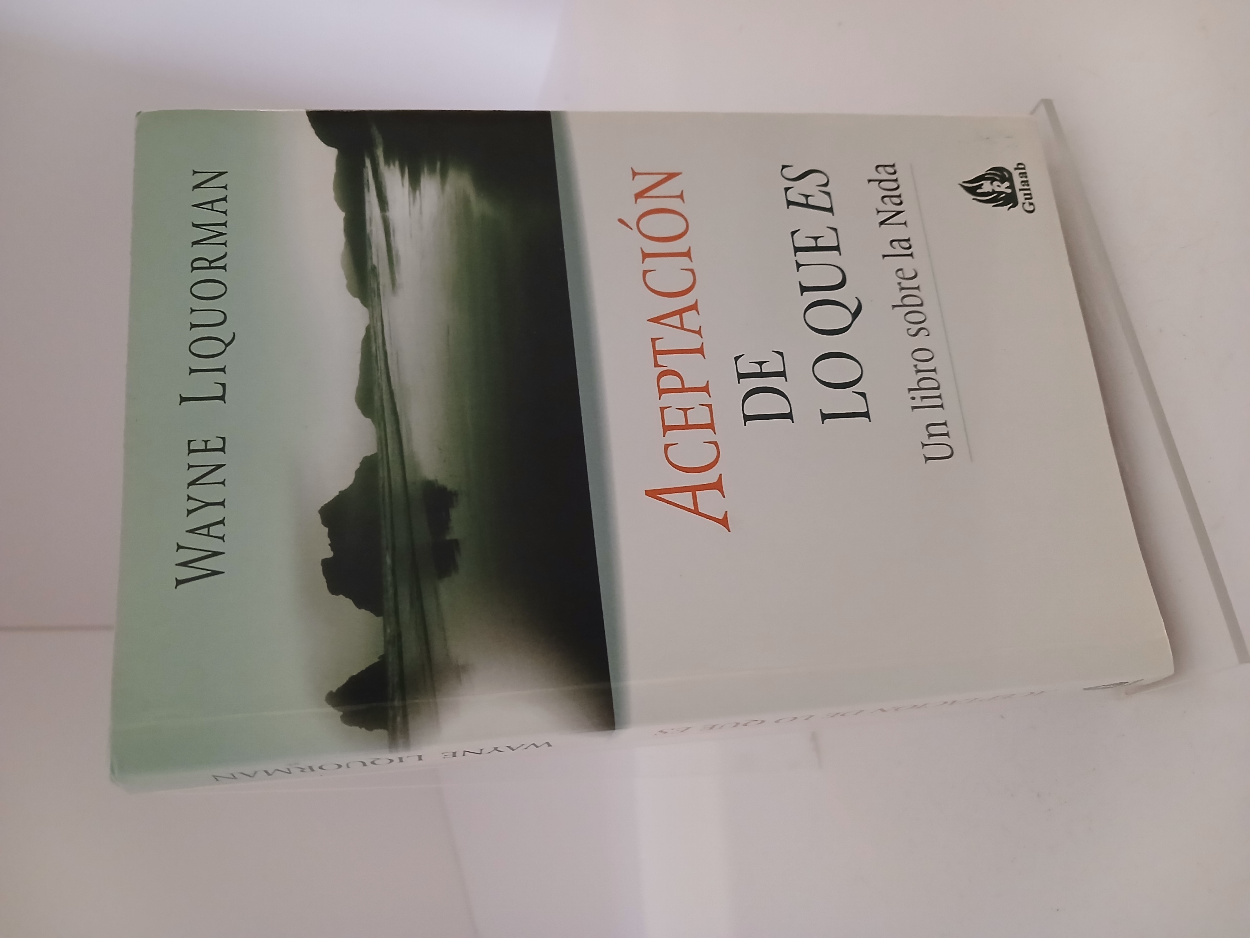 Aceptación de lo que es un libro sobre la nada