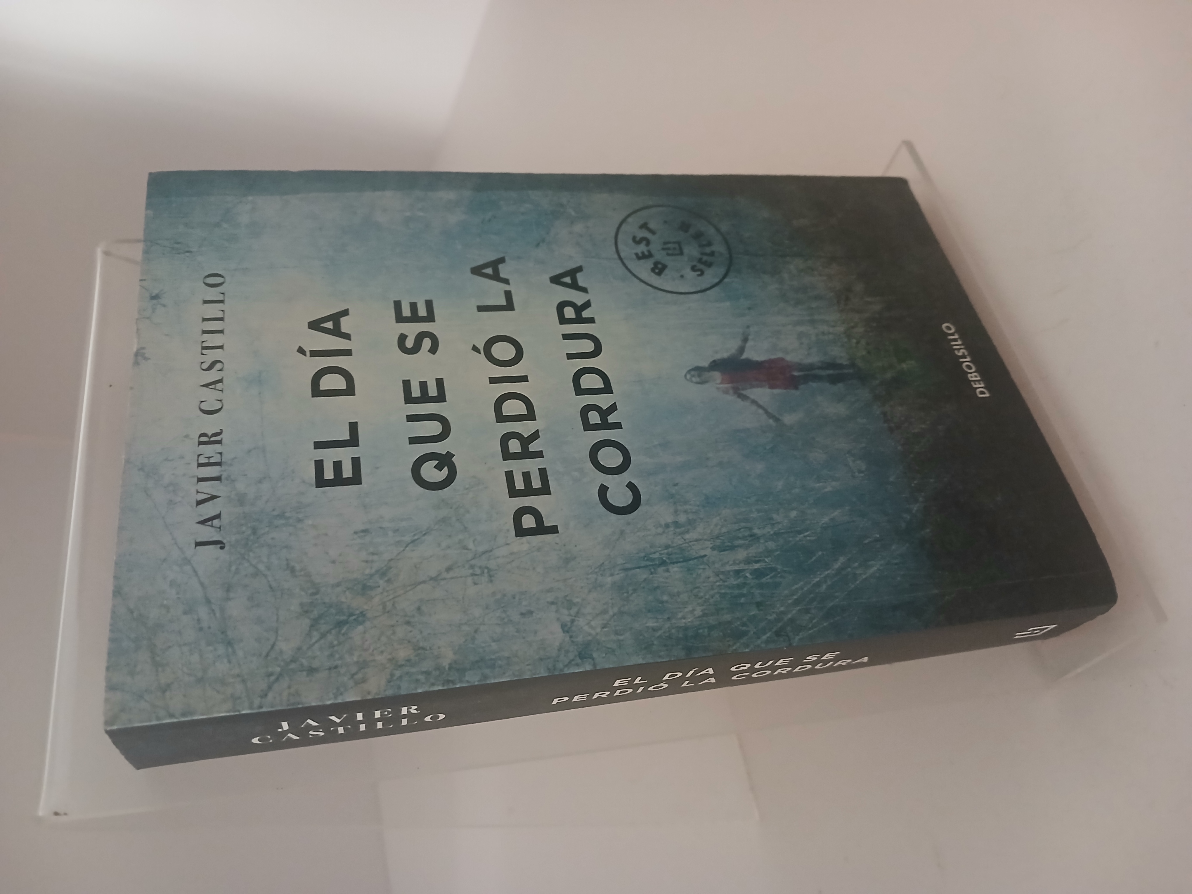 Portada de El día que se perdió la cordura