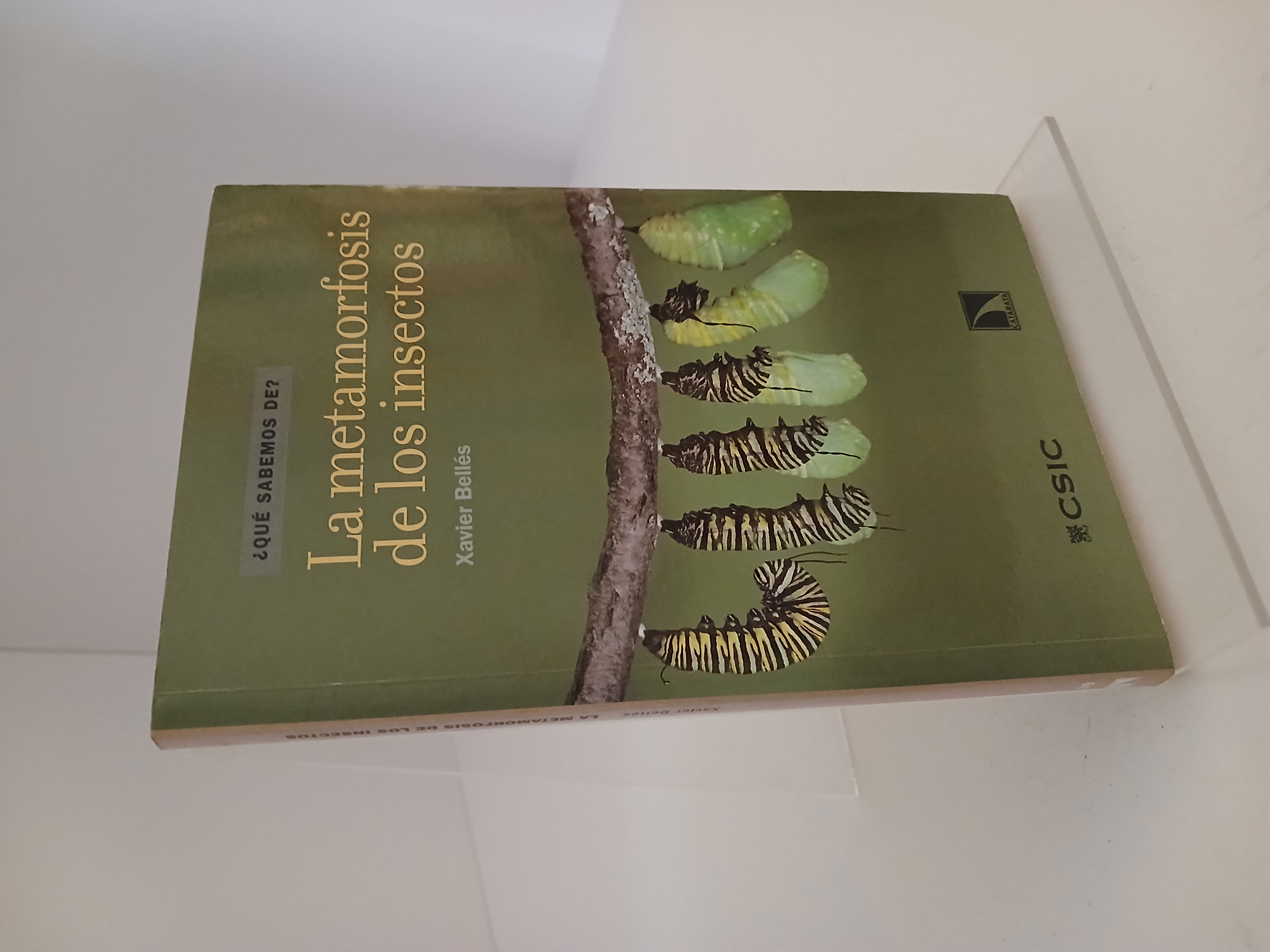 Portada de La Metamorfosis de los insectos
