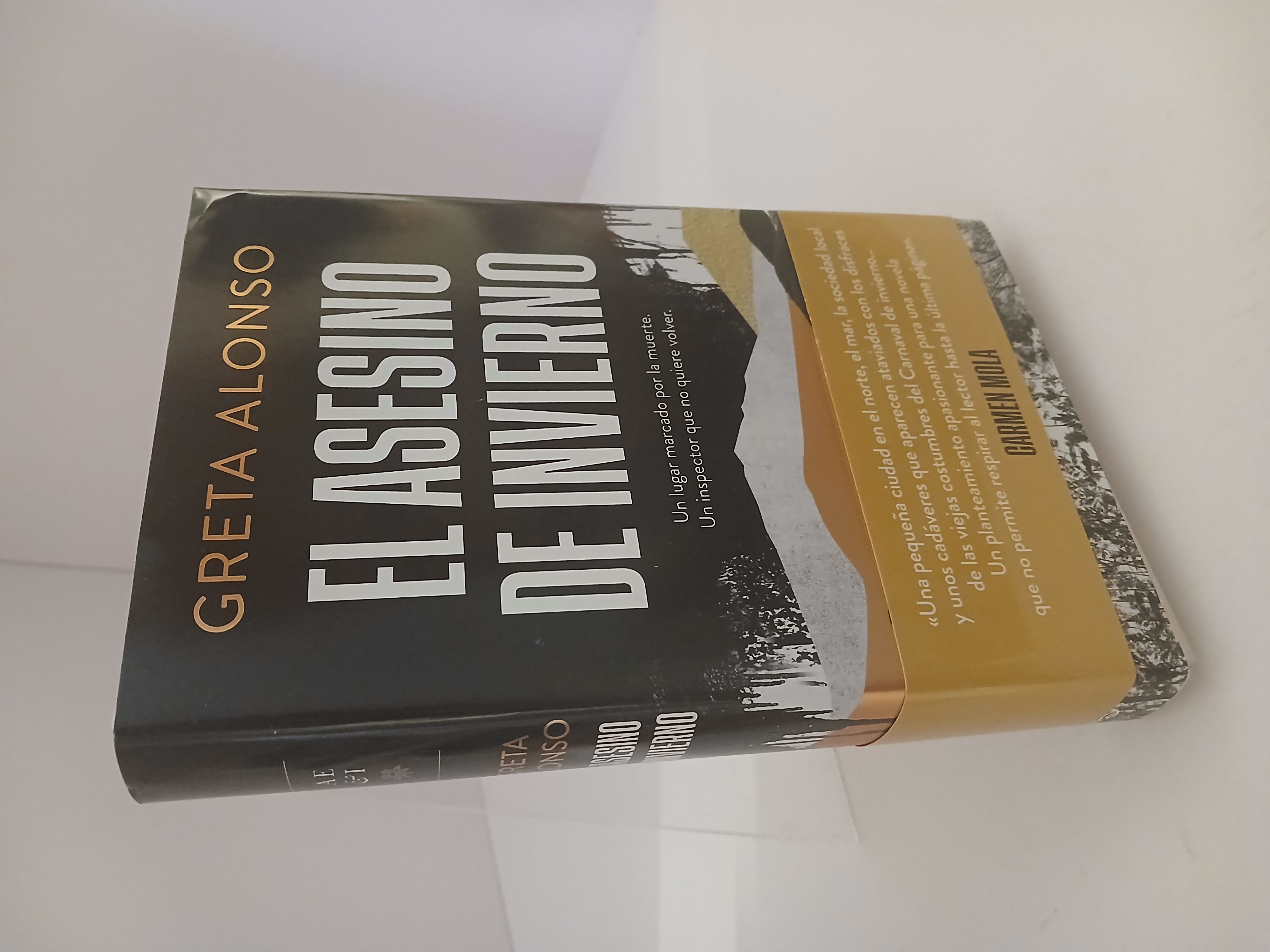 Portada de El Asesino de Invierno
